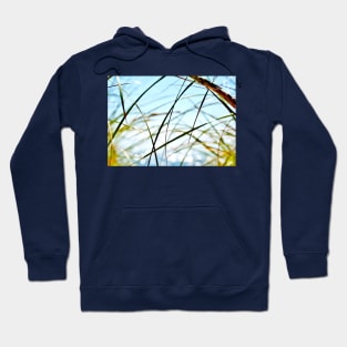 Wispy Beach Grass Hoodie